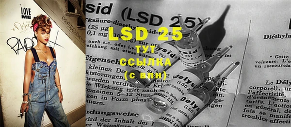 шишки Алзамай