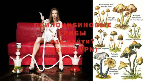 эйфоретик Уссурийск