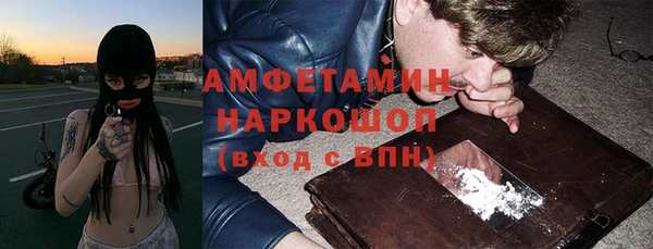 шишки Алзамай